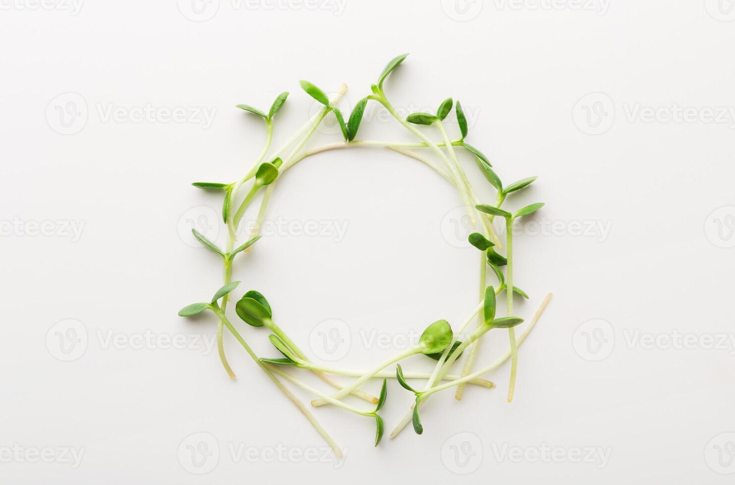 Tender arugula micro greens wreath isolated on white background. Eating right concept. Fresh garden produce organically grown as a symbol of health and vitamins from nature, top view, copy space photo