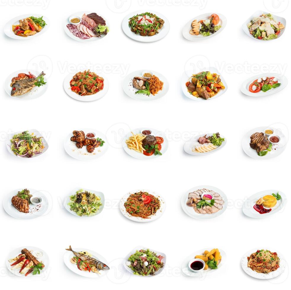 Set of various restaurant meals isolated on white background. Collage of different main courses and salads, meat and fish dishes with garnish, cutout, business lunch concept photo
