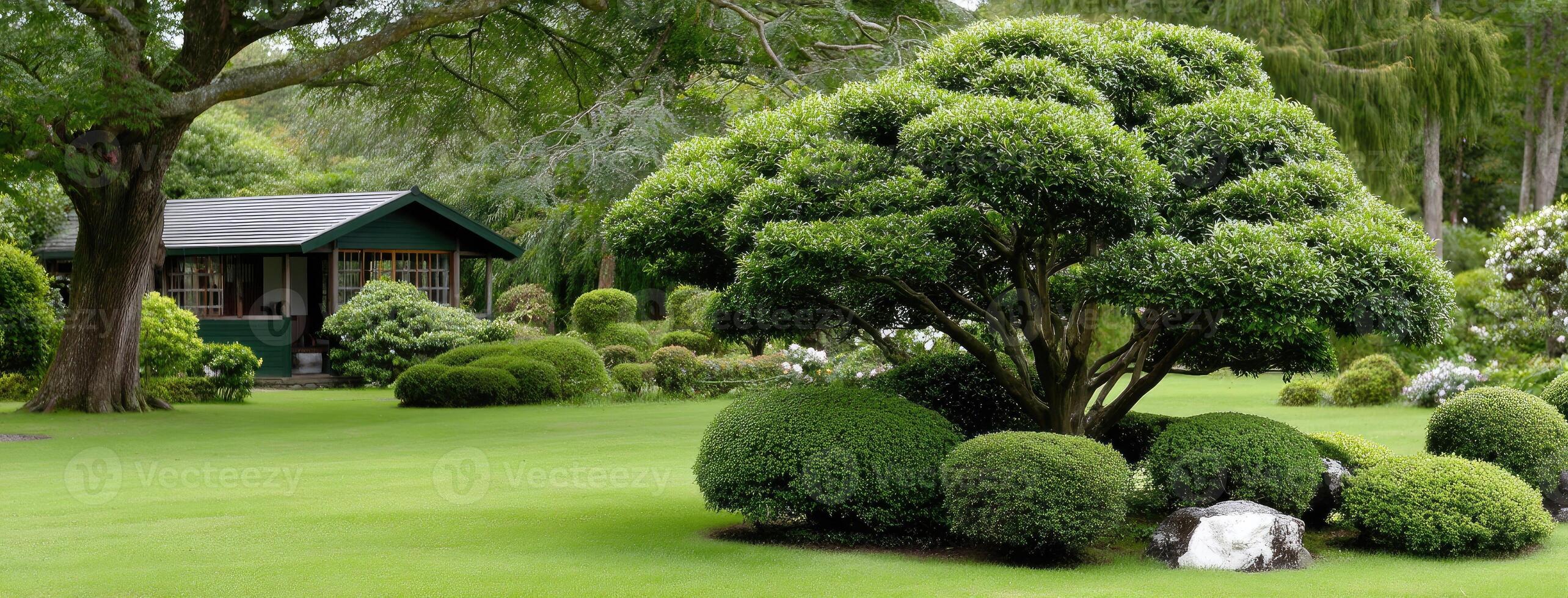 A garden with a house and trees in the middle photo