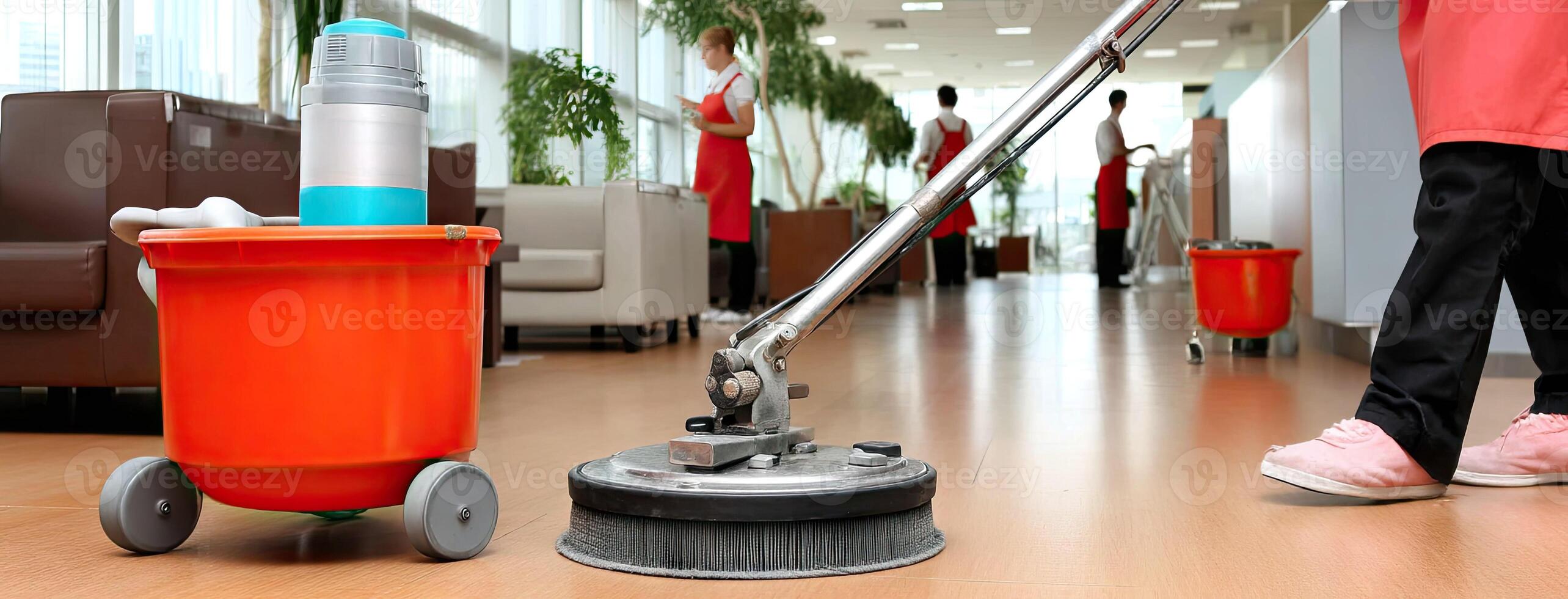 A woman is cleaning the floor with a mop and bucket photo