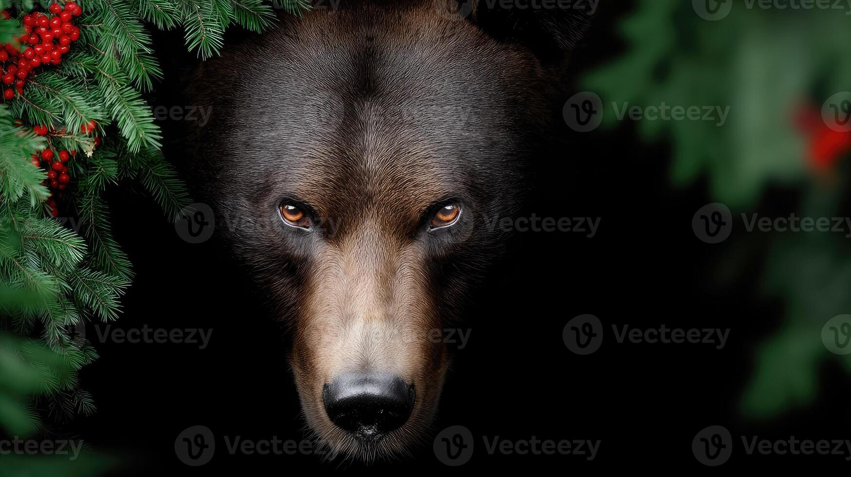 A black bear is peeking out from behind a tree photo