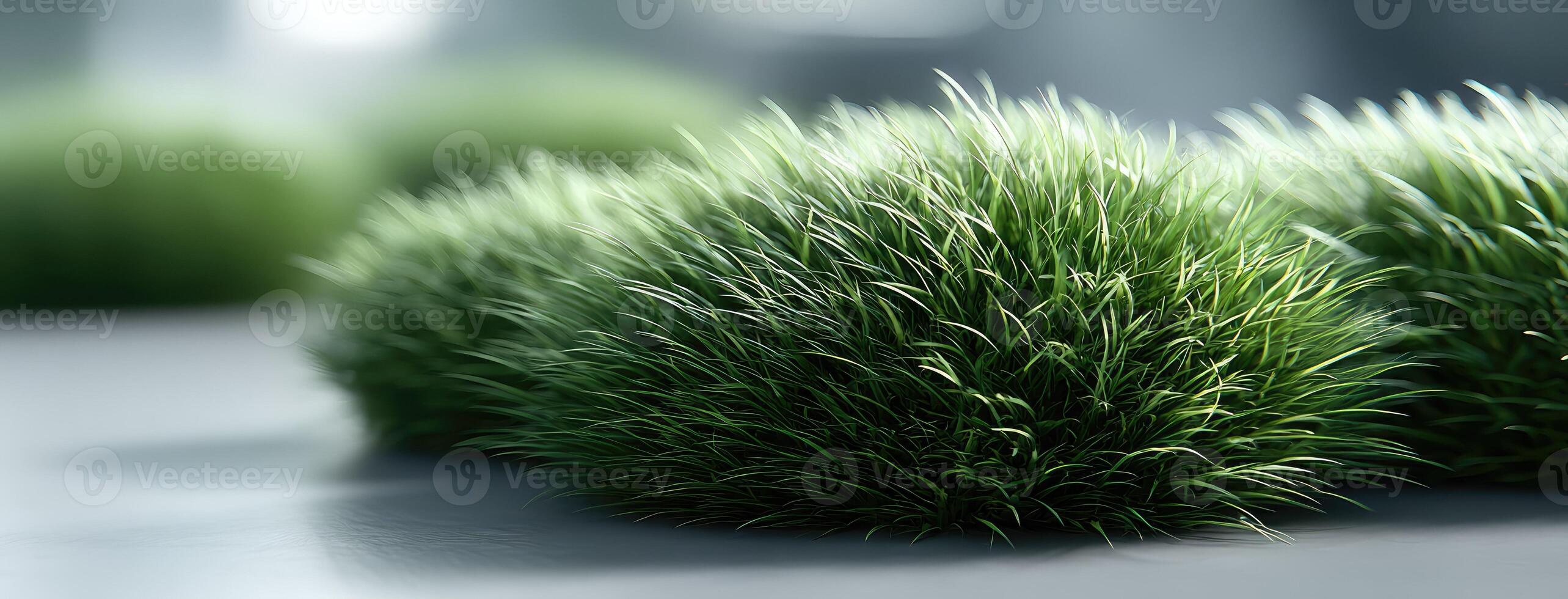 A group of green grass plants on a table photo