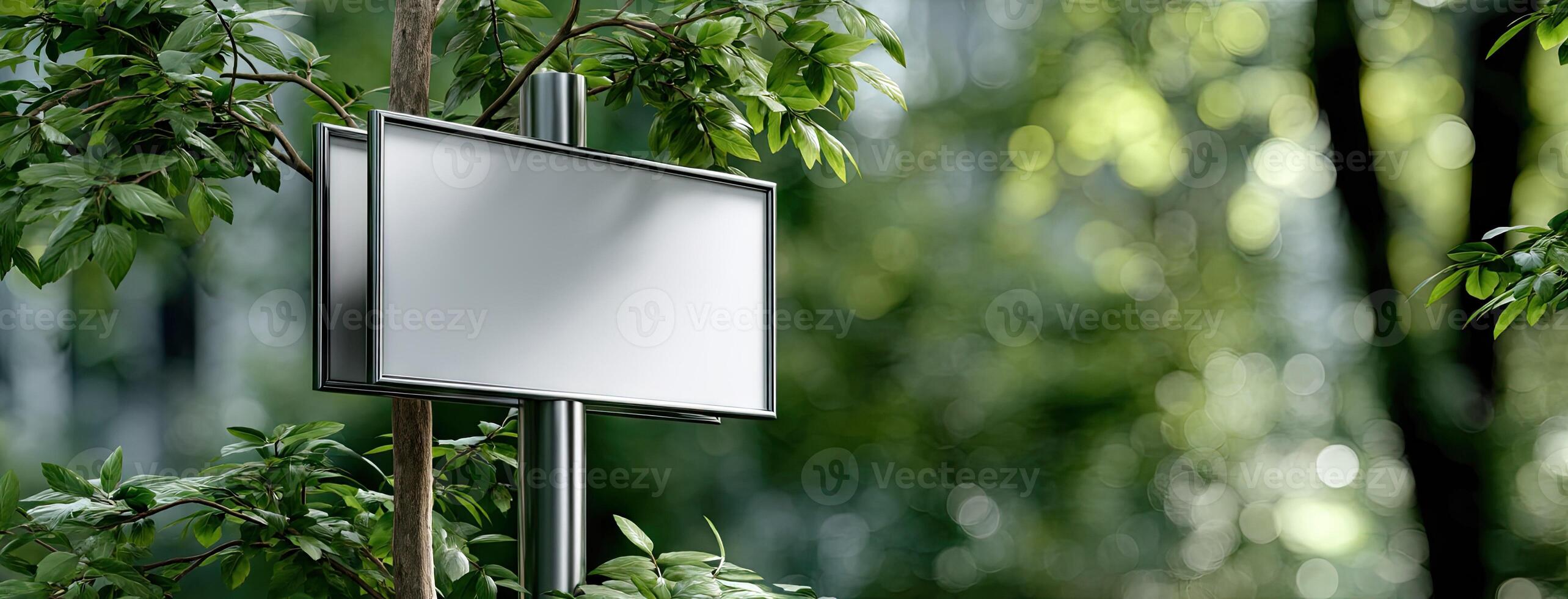 Blank billboard on a tree branch photo