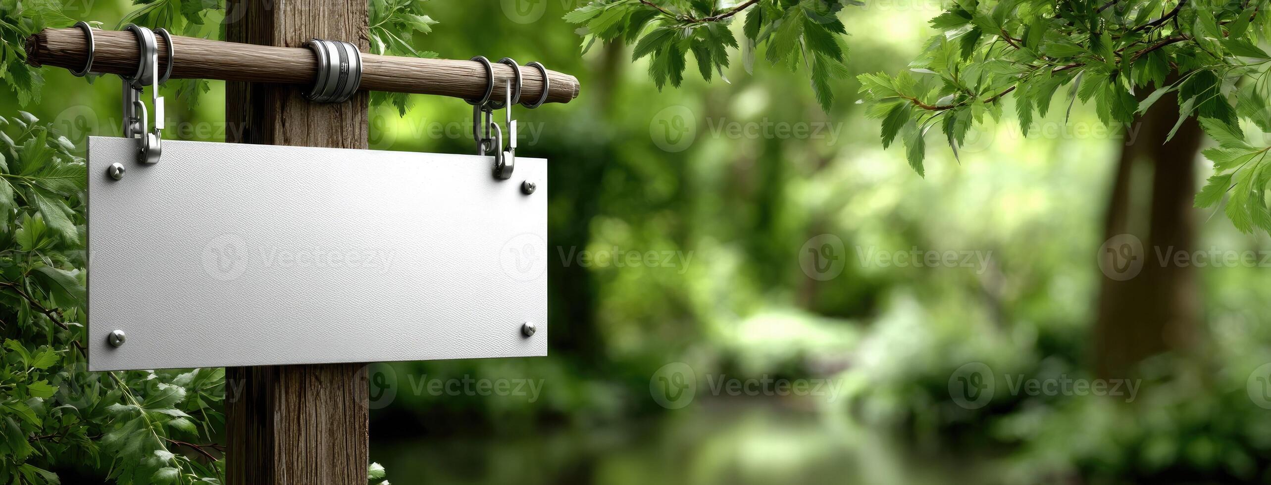 Blank sign hanging on a wooden post in the middle of a forest photo