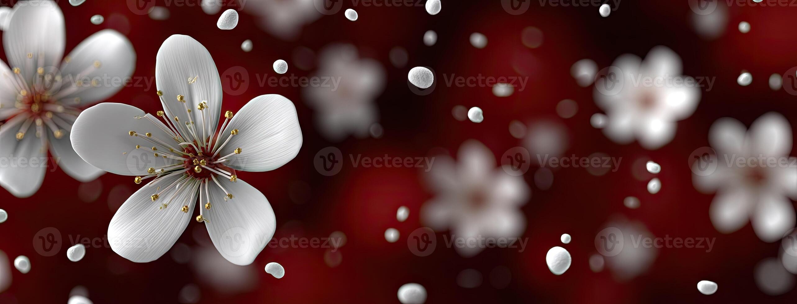 A white flower with red petals on a red background photo