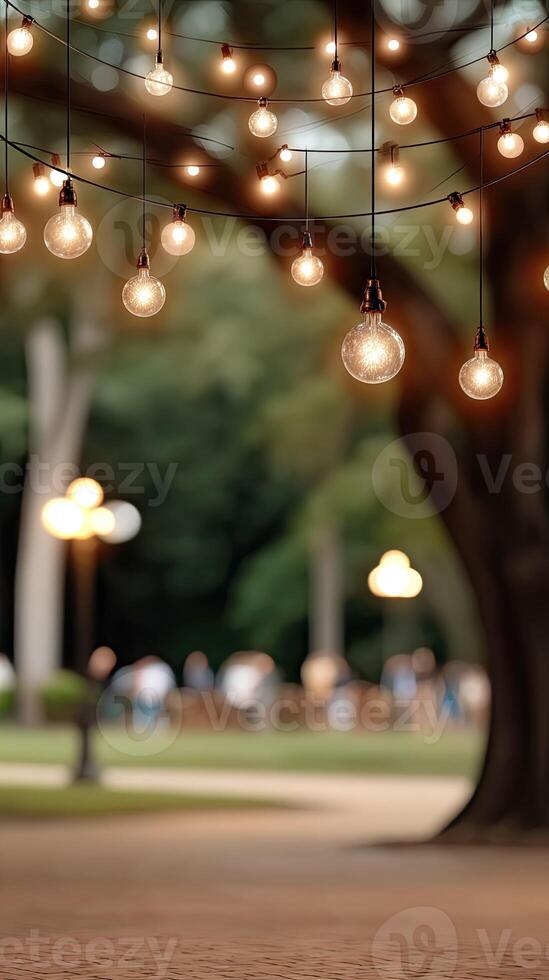 A group of hanging lights in a park photo