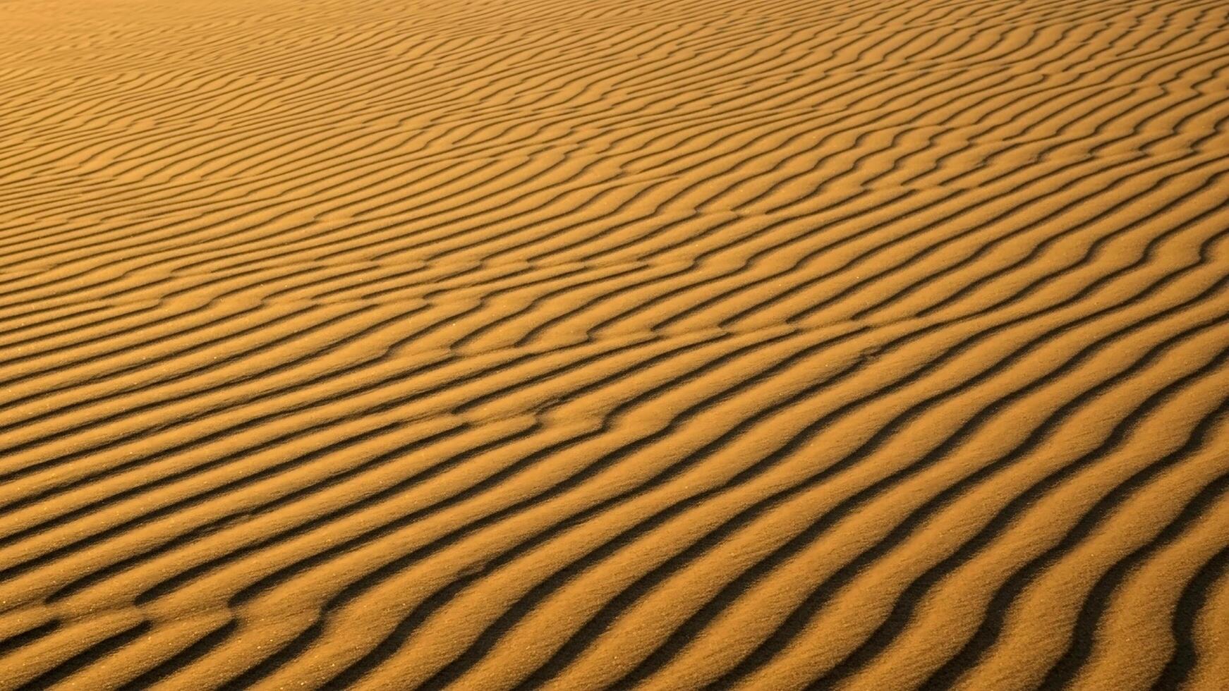 Desert Sand Dune Ripple Pattern photo