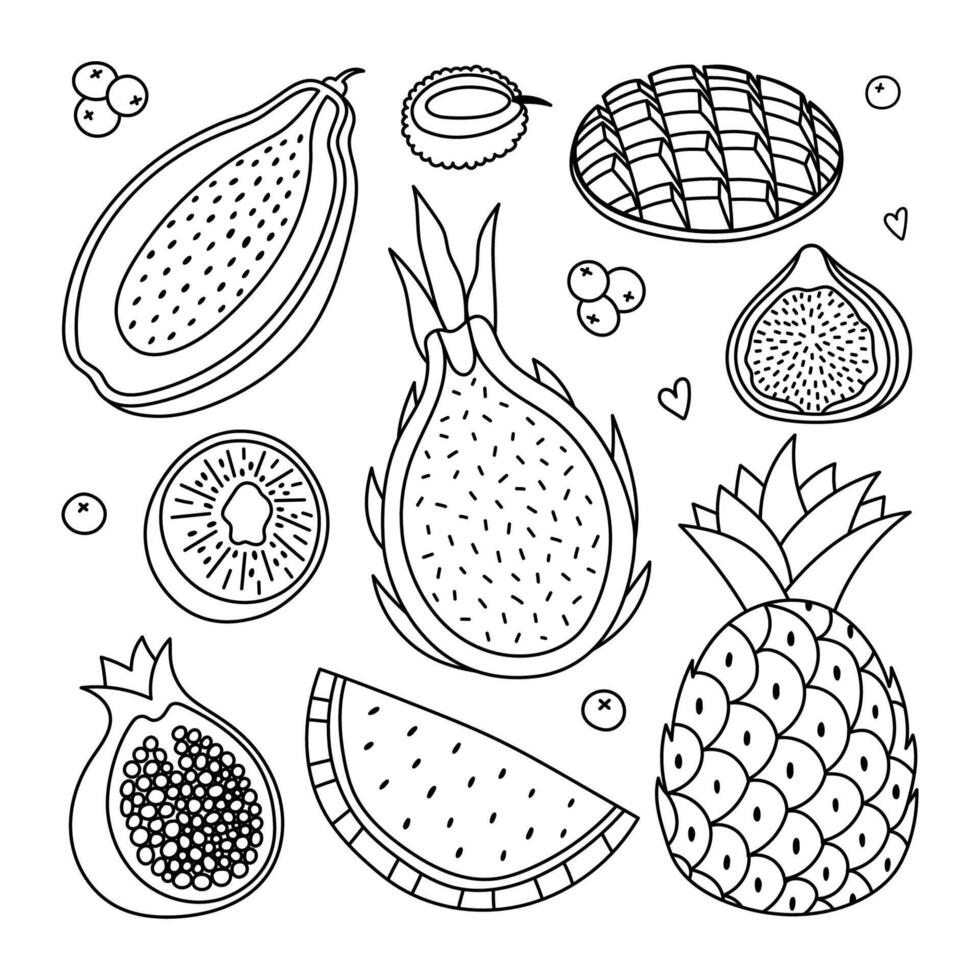 Lovely outline set with tropical exotic fruits and berries. Black and white doodle of papaya, pineapple, kiwi, mango for poster, design, social media, print. Vegetarian tropics fruit collection. vector