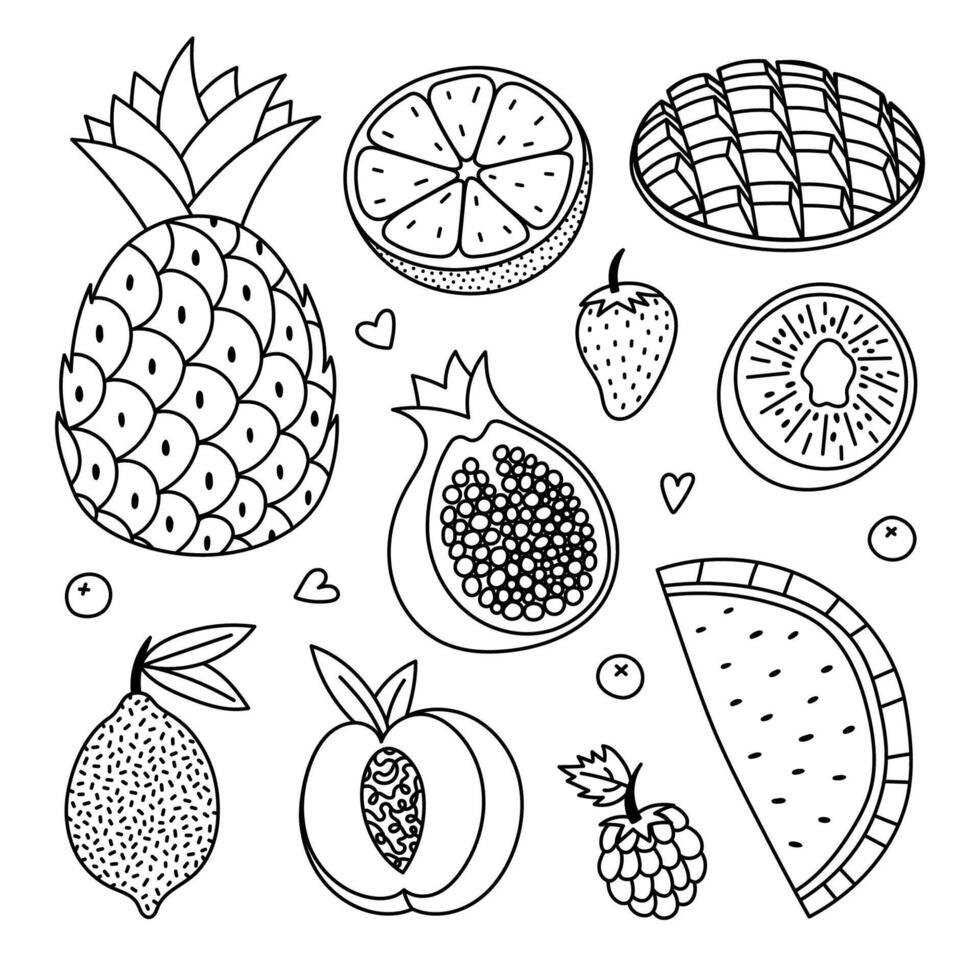 Lovely outline set with juicy healthful fruits and berries. Cute doodle of pineapple, mango, grapefruit, lime, kiwi, peach for branding packaging, menu, logo. Sweet food collection isolated on white. vector