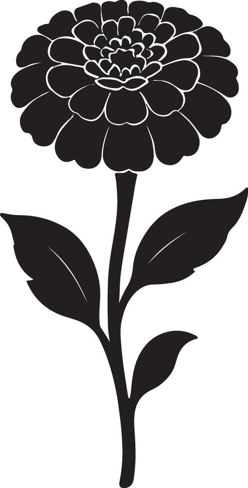 Elegant Black Silhouette of a Zinnia Flower Blooming Gracefully Against a White Background, Evoking a Serene and Peaceful Mood vector