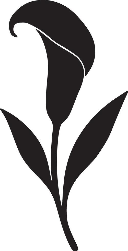 Elegant Black Calla Lily Silhouette, Graceful Floral Design, Simple Botanical Illustration, Peaceful Mood, White Background vector