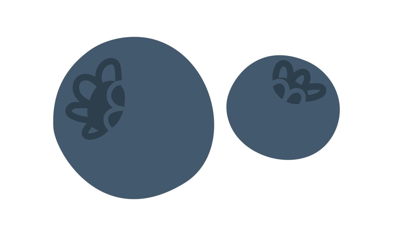 Blueberries and blueberries. Proper nutrition. The flat color illustration is suitable for applications, posters about health, fitness, exercise, disease prevention and cardiac activity. vector