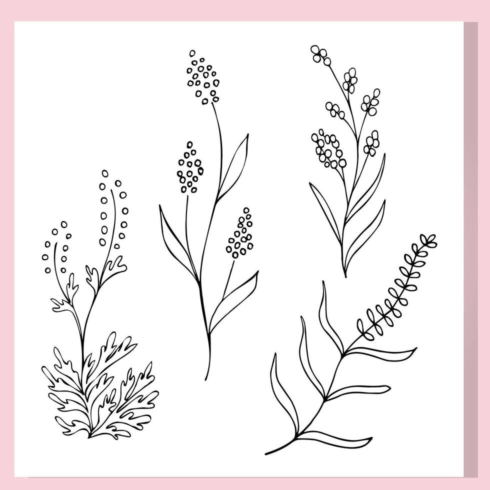 Botanical Line Art Herbs and Flowers Set vector