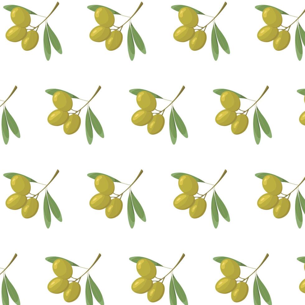 Green olives seamless pattern on white background. Olive branch illustration. Olives with leaves. vector
