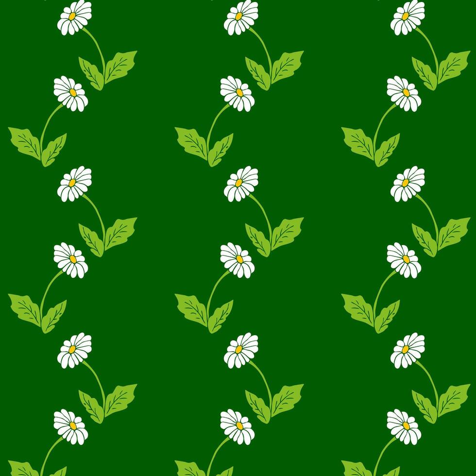 Chamomile Seamless Pattern on Deep Green Background vector