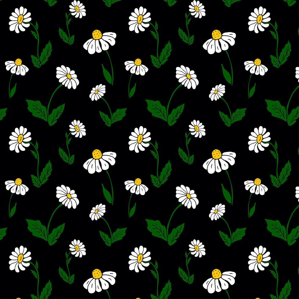 Chamomile flowers on a black background seamless pattern. botanical illustration for caovering paper, background, wallpaper, textile, fabrics vector