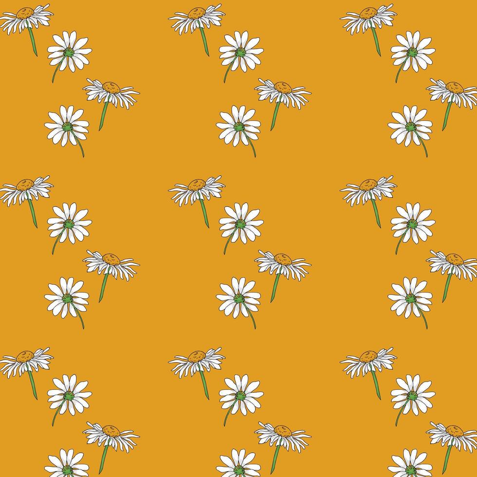 Chamomile flowers seamless pattern. White chamomiles on yellow background. vector