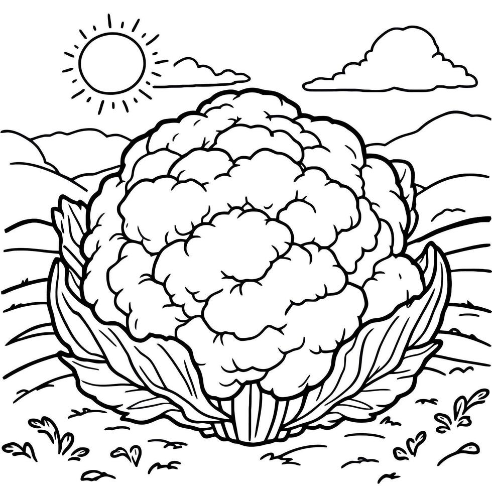 Wonderful Cauliflower Coloring Page For Children That Is Free To Download Now vector