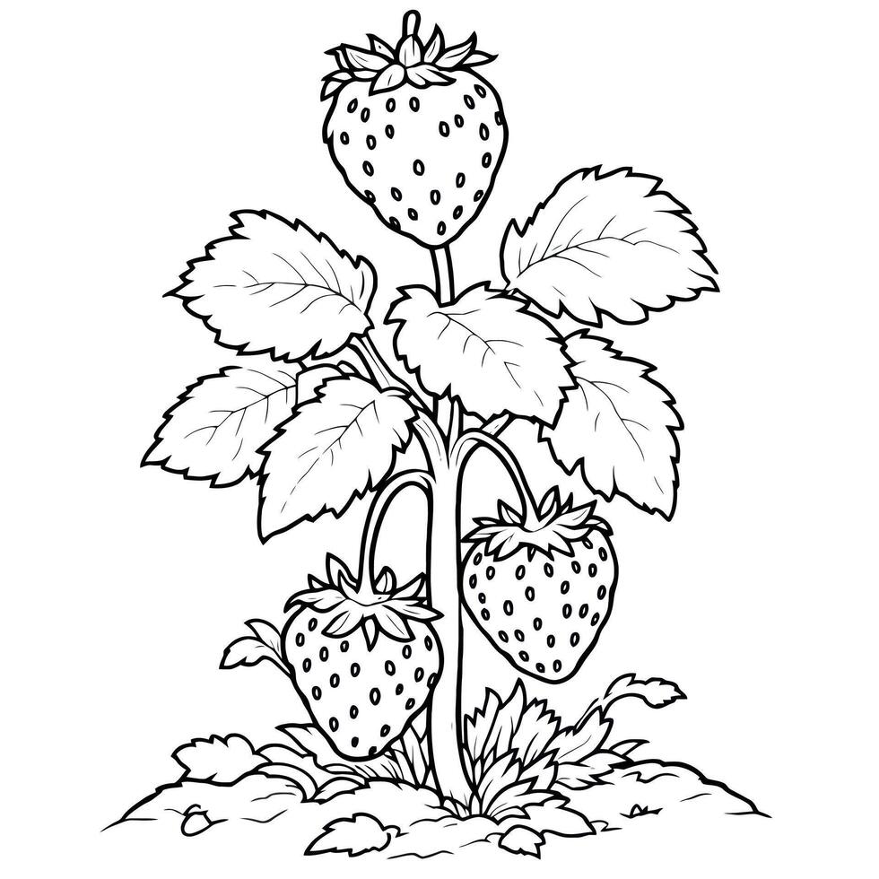 Fresh Strawberry Coloring Page Sheets Fruitful Harvest of Summer Delights Fun vector