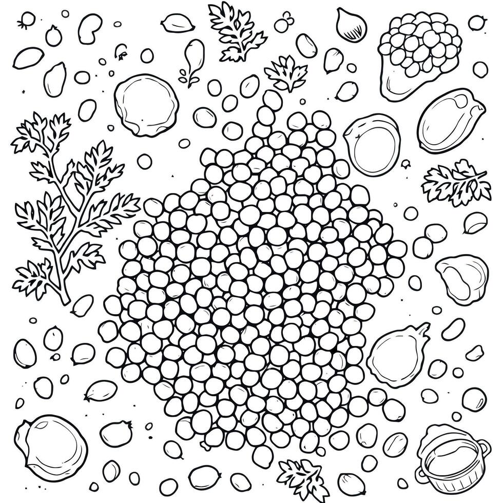 Delightful Lentils Coloring Page A Nutritious and Educational Art Project vector
