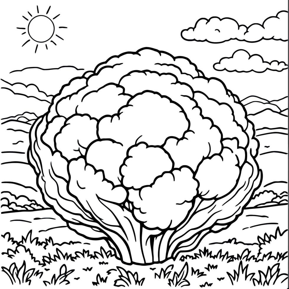A Cauliflower in a Sunny Field A Coloring Book Page For Kids vector