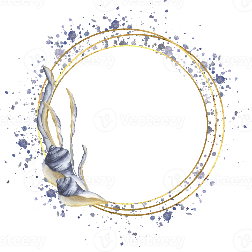 Aquatic banner template with sea shell and weeds watercolor illustration in golden frame with watercolor blue splash.Romantic wreath with deep sea elements clipart for poster, invitation design png