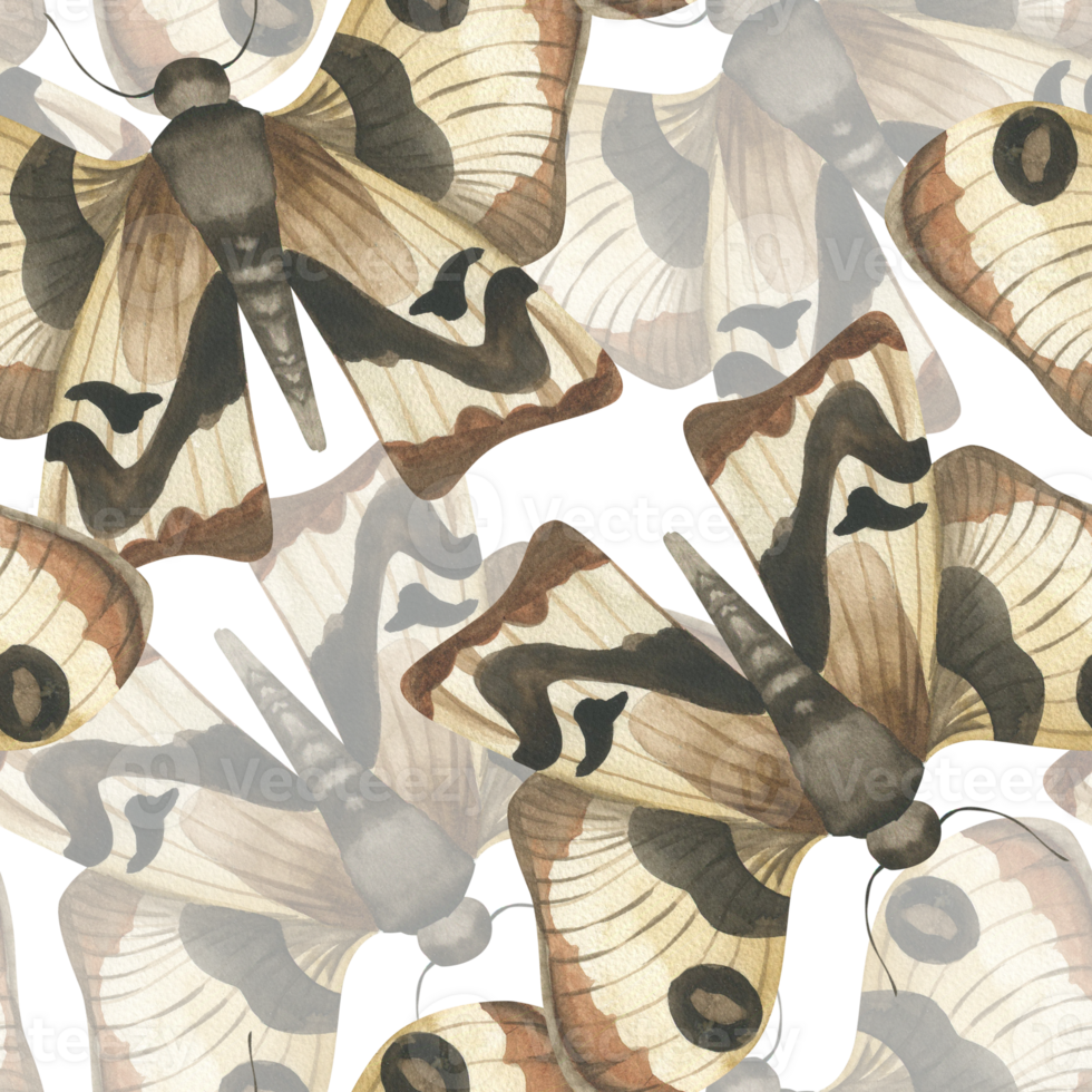 Night moth watercolor seamless pattern.Hand drawn butterflies background, moth with beige and brown wings repeated clipart for wrapping, textile, wallpaper design. Esoteric and witchy decor png
