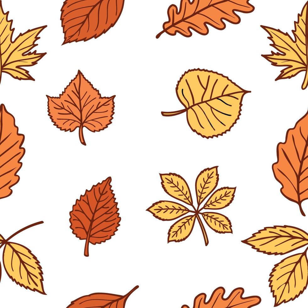 A pattern of various autumn leaves in shades of orange and yellow on a white background. The leaves are of different shapes and sizes, representing the fall season. vector