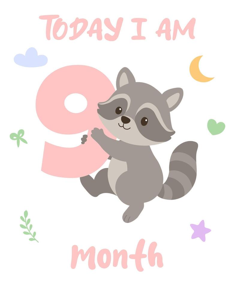 Milestone raccoon illustration. baby nine month celebration. cute monthly milestone art vector