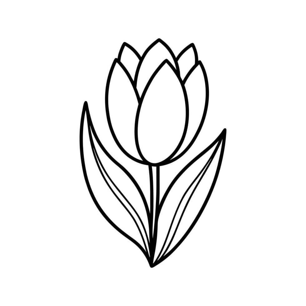 Black Line Art Single Tulip Flower Botanical Illustration vector