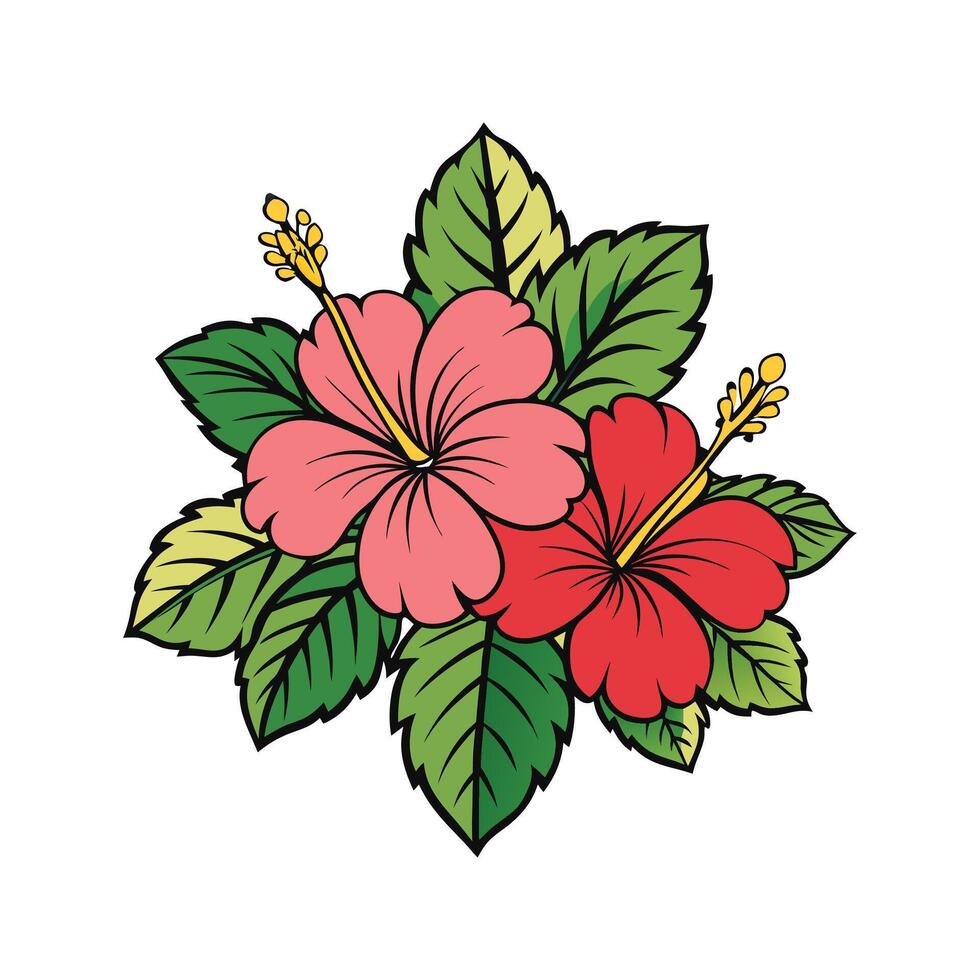 Beautiful illustration of two vibrant hibiscus flowers with green leaves on white background vector