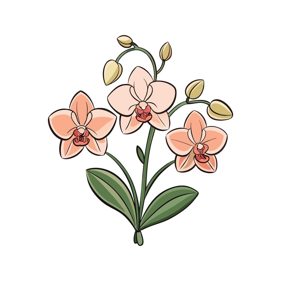 Elegant hand drawn illustration of a beautiful cluster of peach colored orchid flowers vector