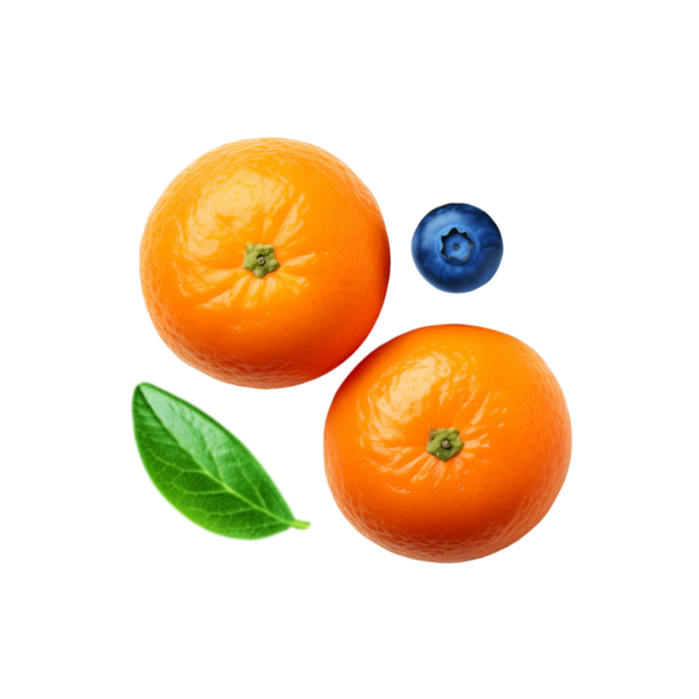 Orange fruit with blueberry and leaf on transparent background png