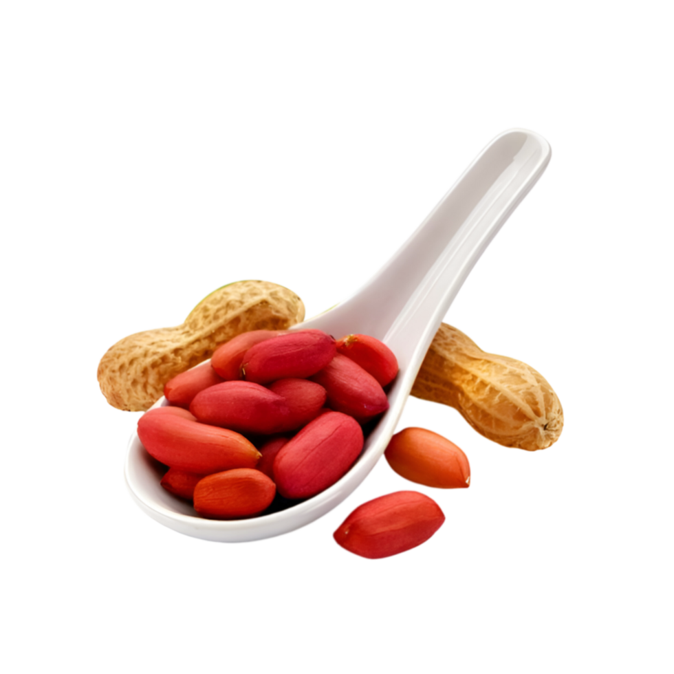 White ceramic spoon of peeled peanut on transparent background png