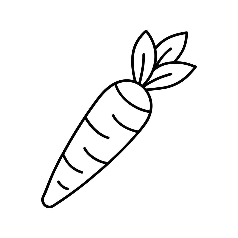 Line Art Drawing of an Orange Carrot with Green Leaves vector