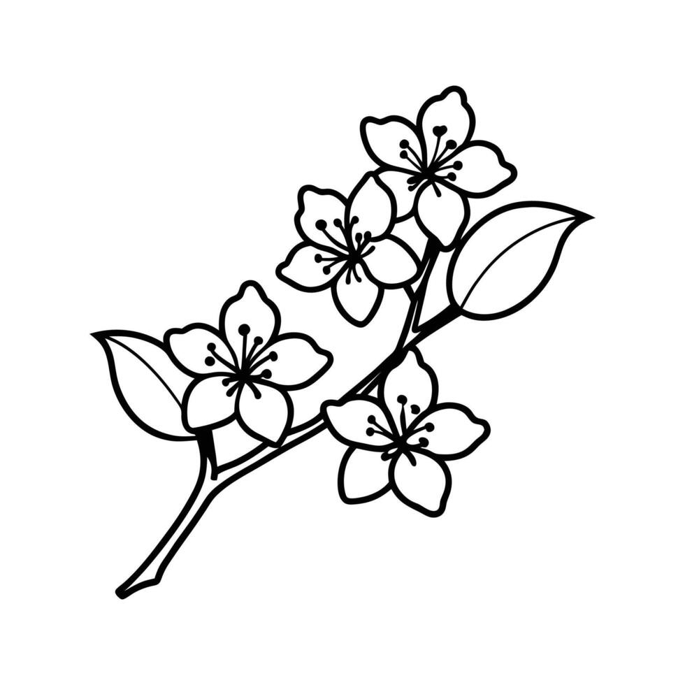 Black and White Line Drawing of Cherry Blossom Branch vector