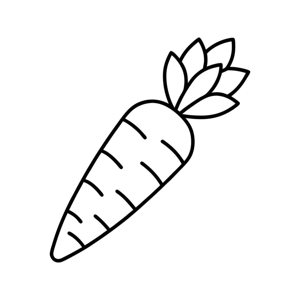 Line Art Drawing Single Orange Carrot Vegetable vector