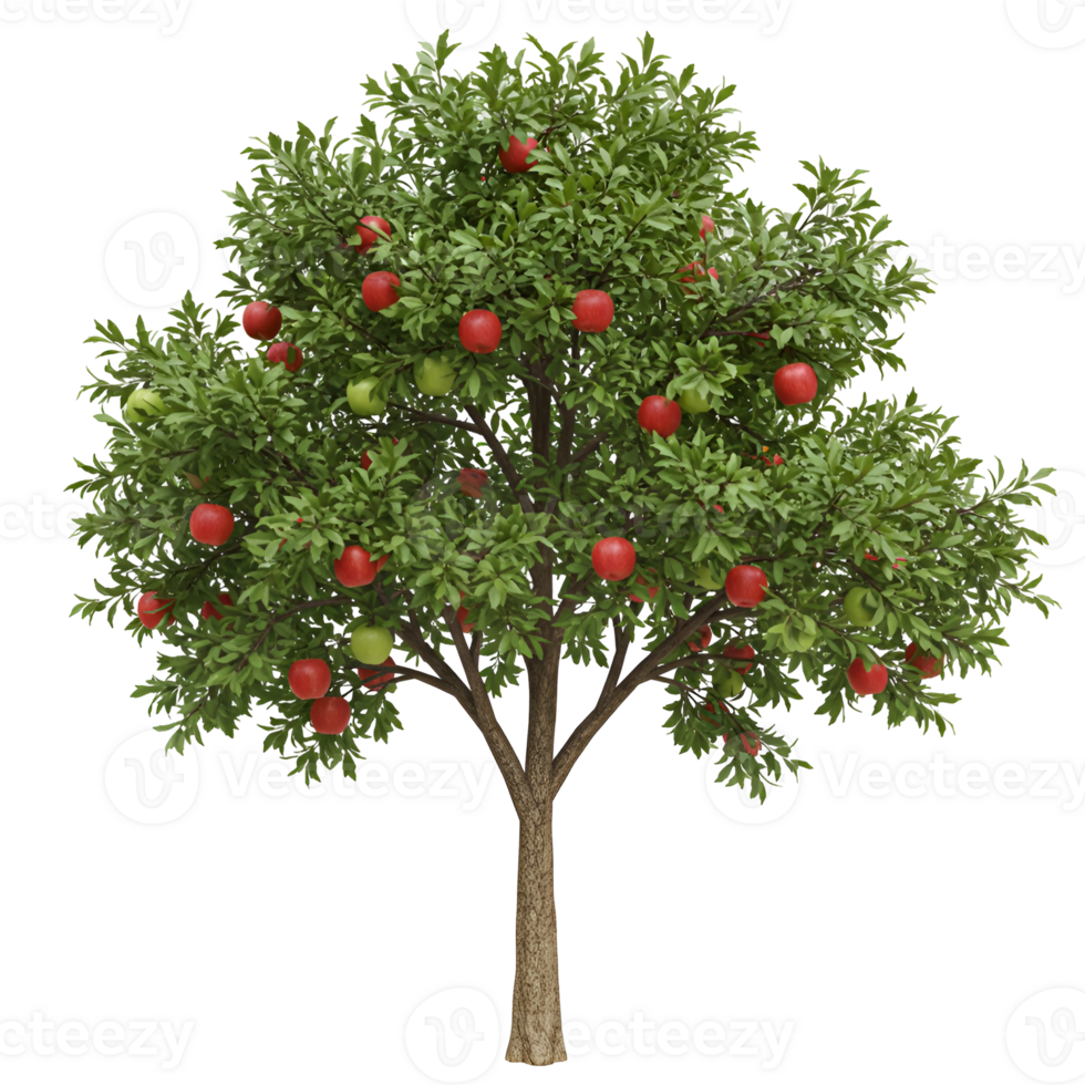 Apple tree with green leaves and red and green apples on transparent background png