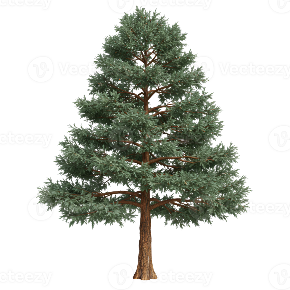 A single isolated tree with green leaves and brown trunk on transparent background png