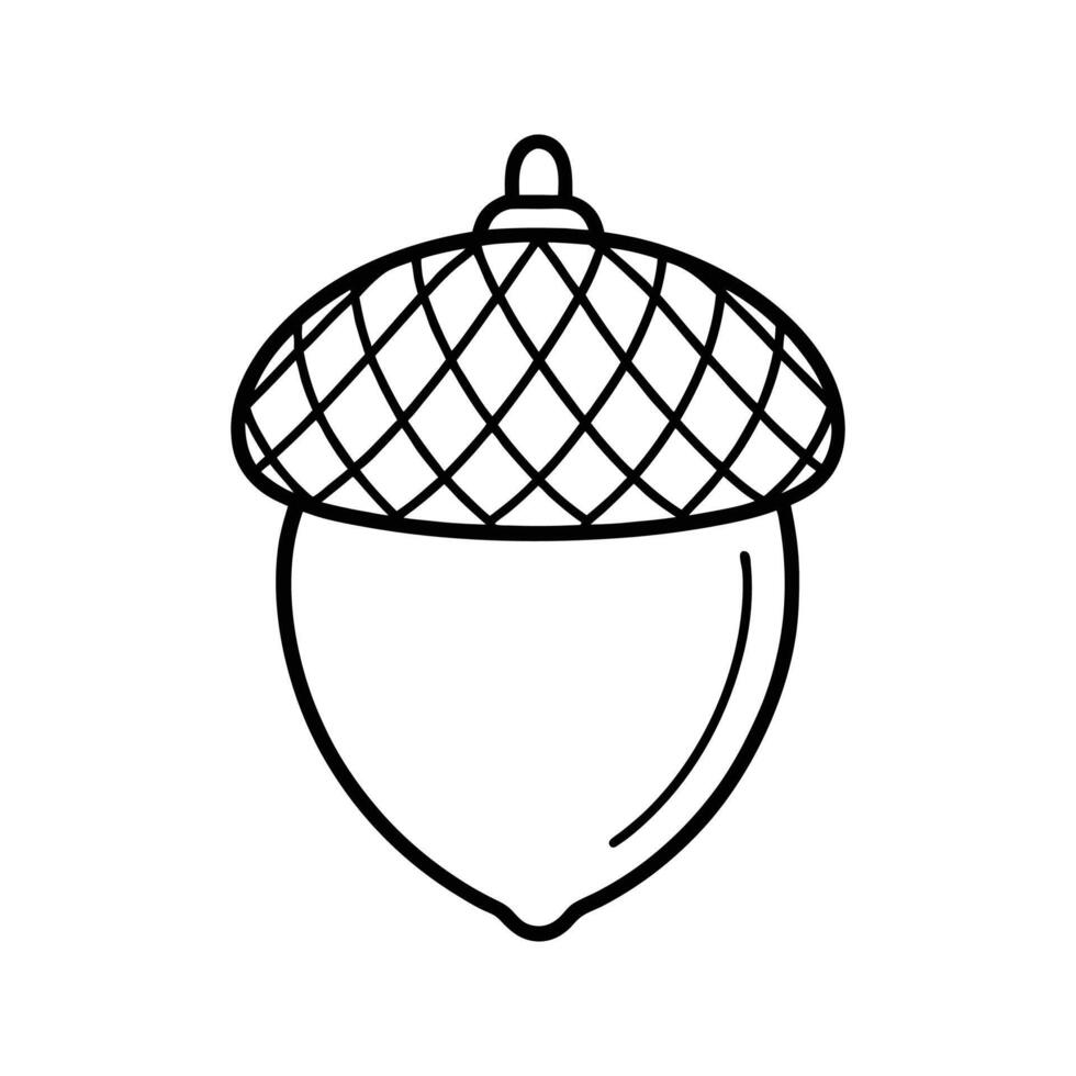 Black and White Line Drawing of an Acorn seed autumn vector