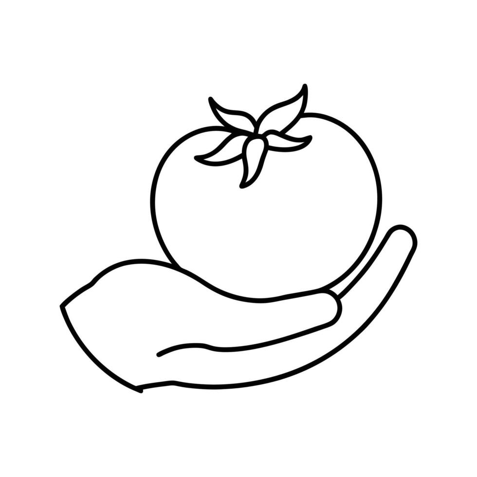 Hand Holding a Single Tomato Outline Drawing vector