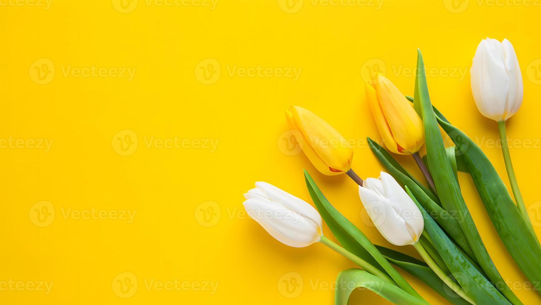 flowers and yellow background photo