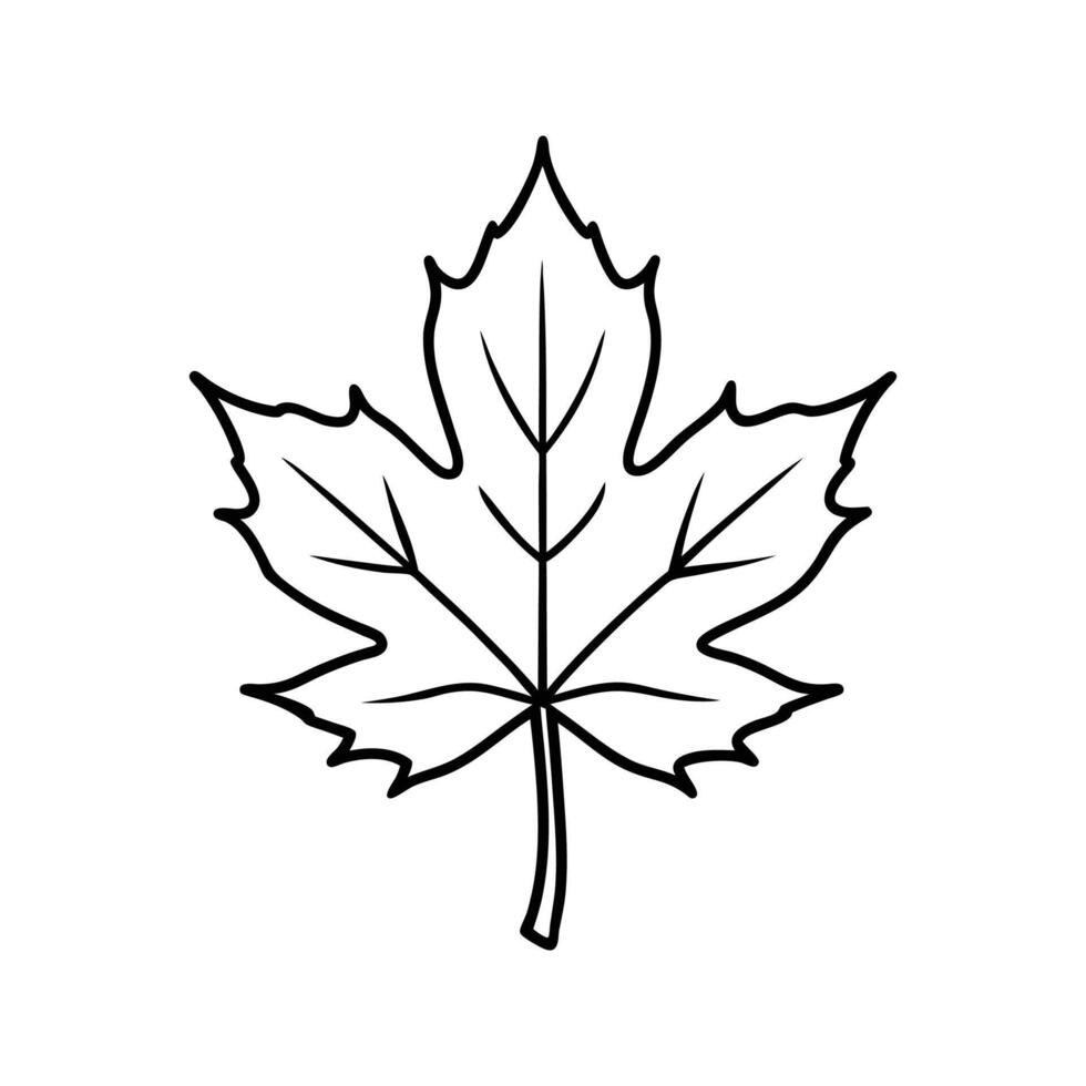 Black Outline Simple Maple Leaf Illustration autumn vector
