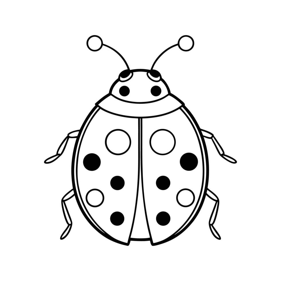 Black and White Ladybug Outline Illustration Seven Spots vector
