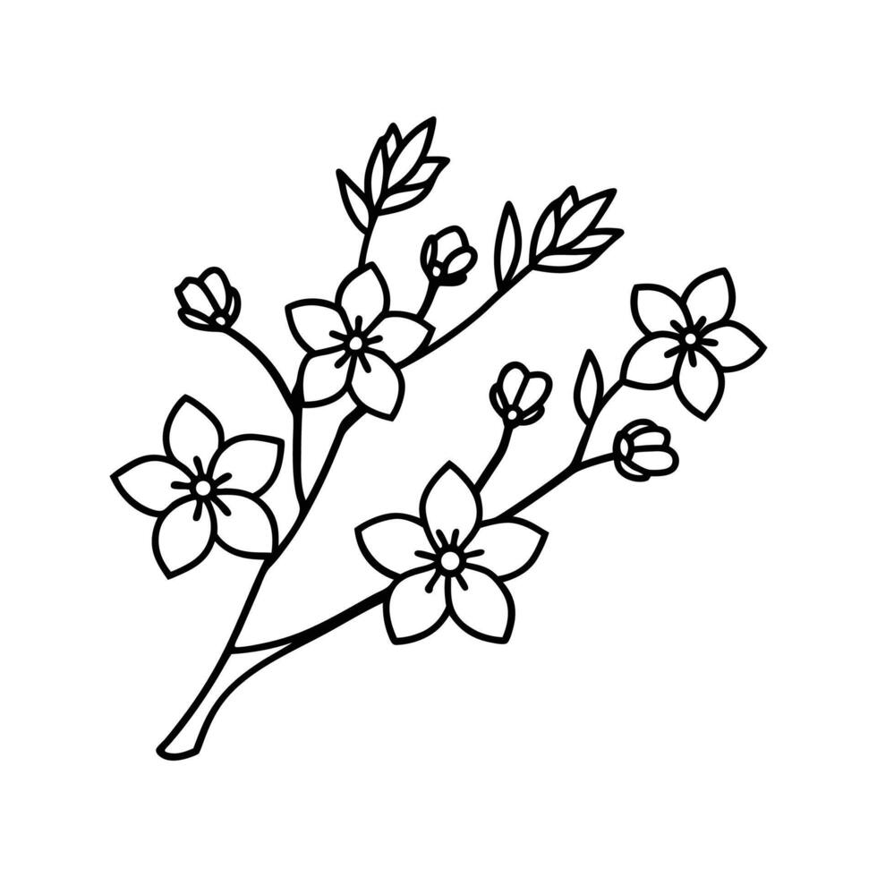 Black Line Art Drawing of Blooming Cherry Blossom Branch vector