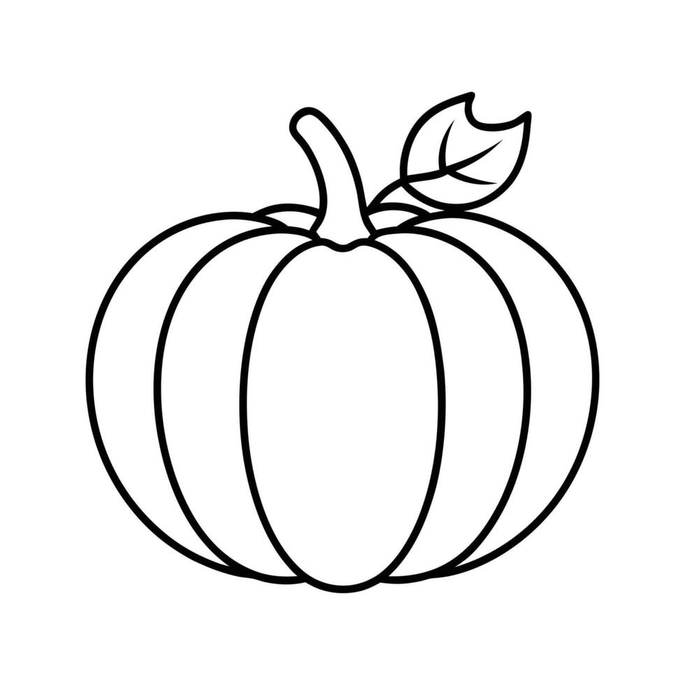 Simple Line Drawing of a Pumpkin with Leaf gourd squash vector