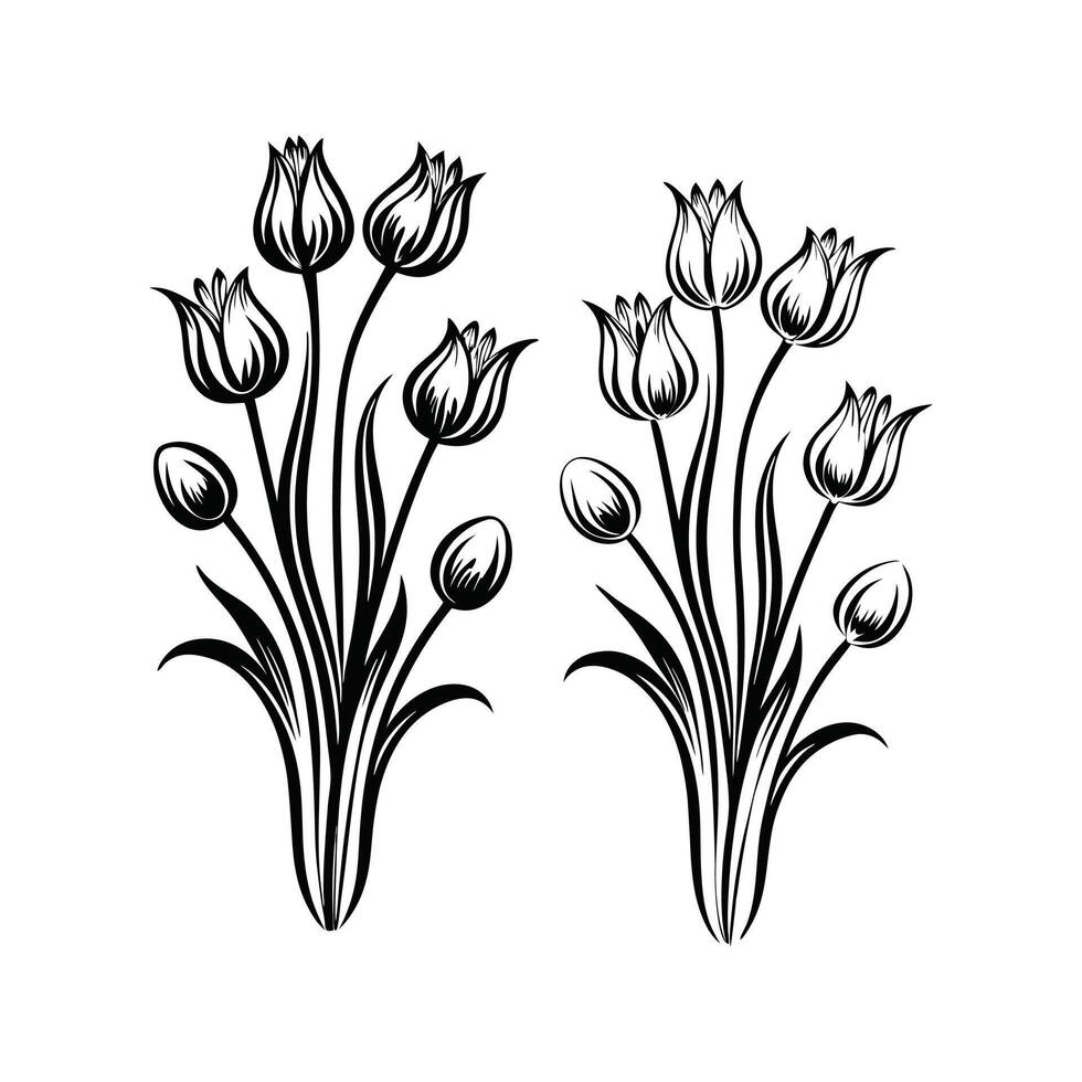 Elegant illustration of black and white tulip flower bouquets in simple outlines vector