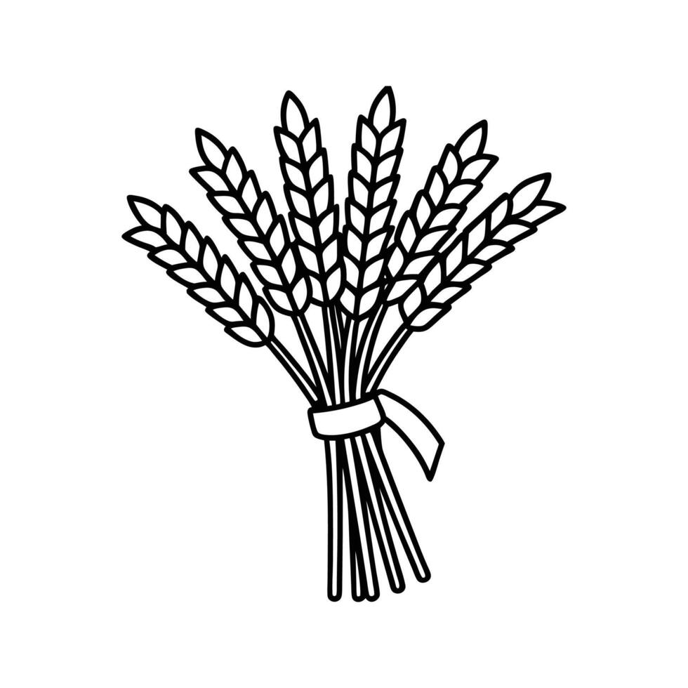 Black and White Wheat Sheaf Line Drawing Tied with Ribbon vector