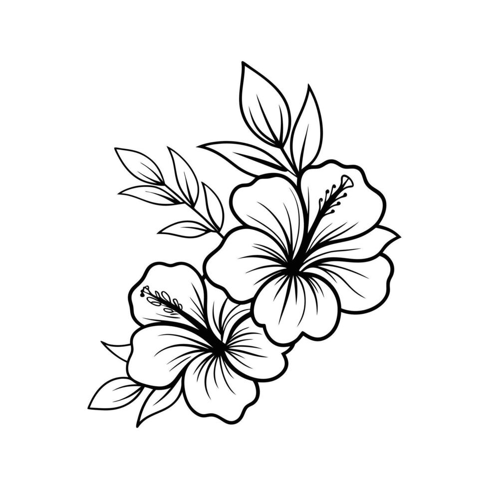 Elegant black and white illustration of two hibiscus flowers with leaves on white background vector