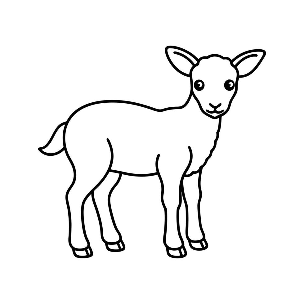 Line Drawing Cute Lamb Black White Illustration sheep vector